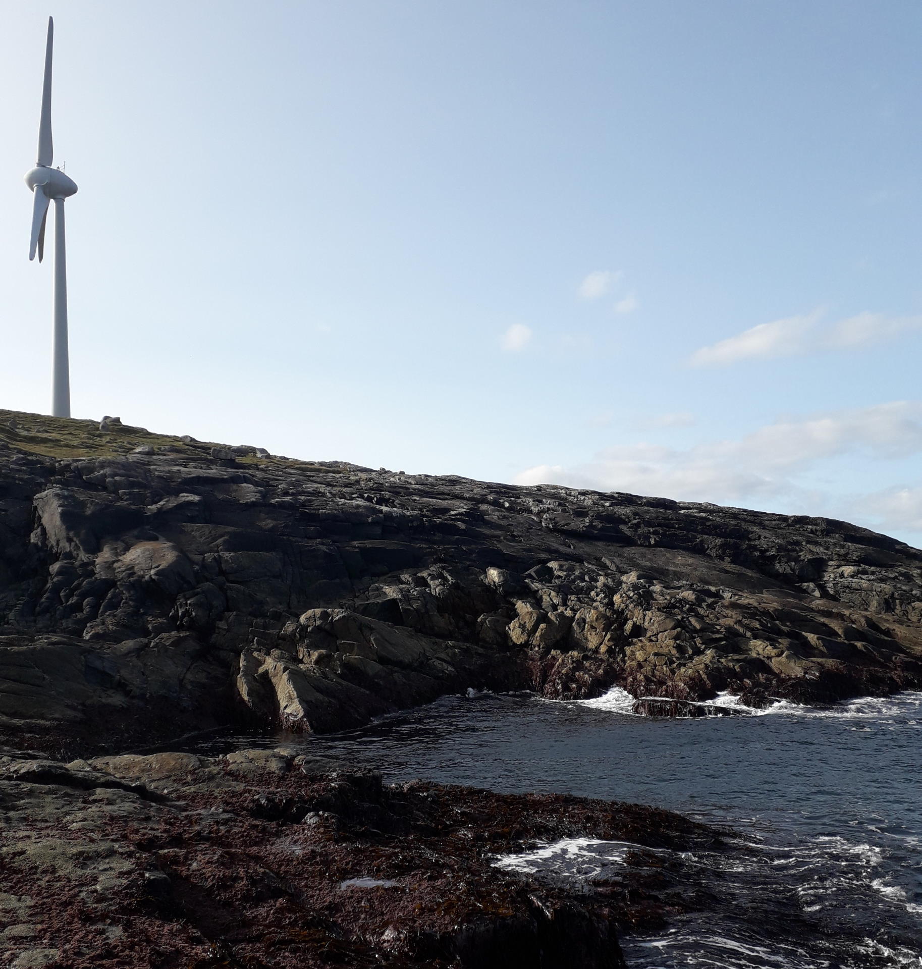 CBaB Turbine & Alaria Sample Site 1 Barra and Vatersay
